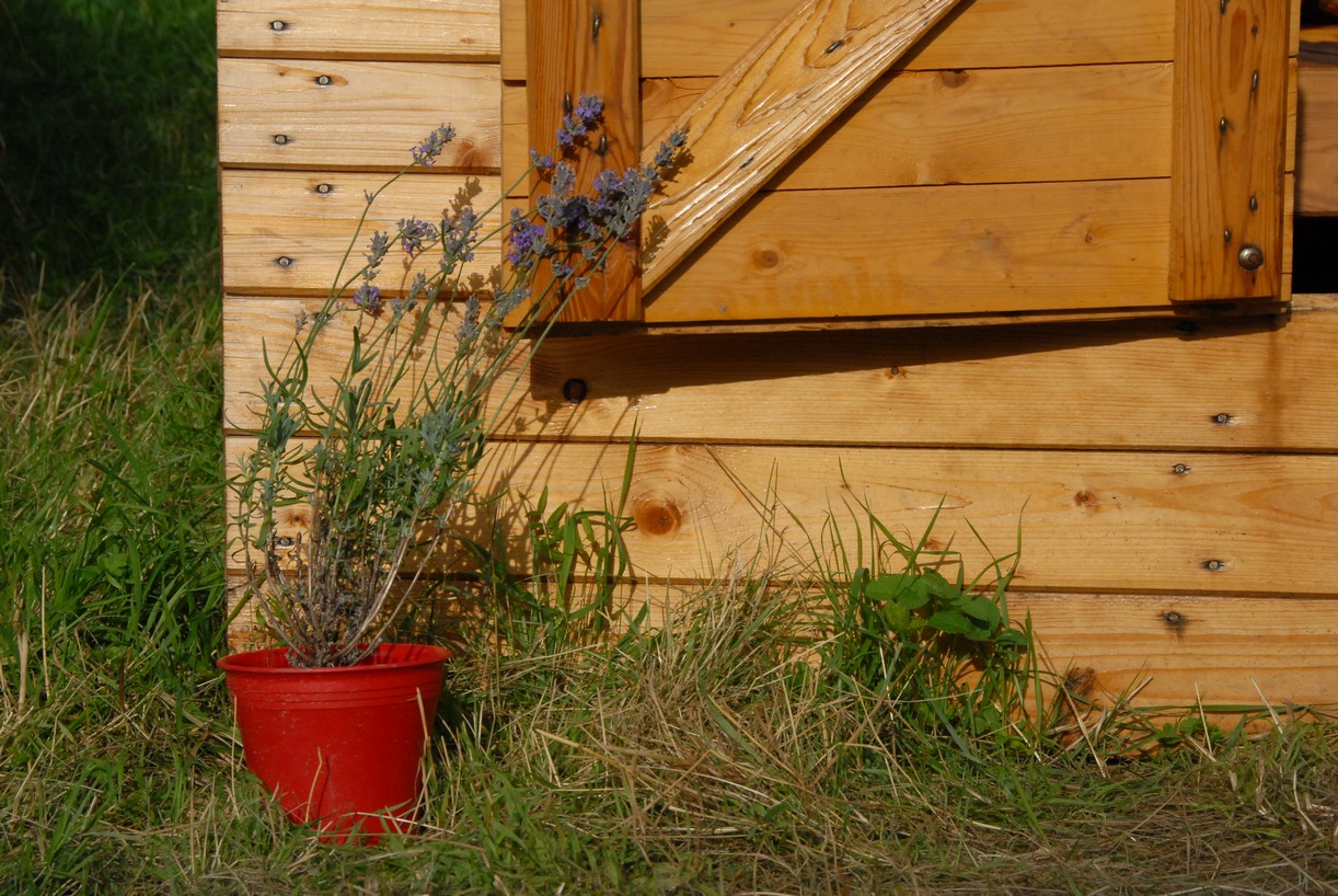 GEM tábory 2007   181